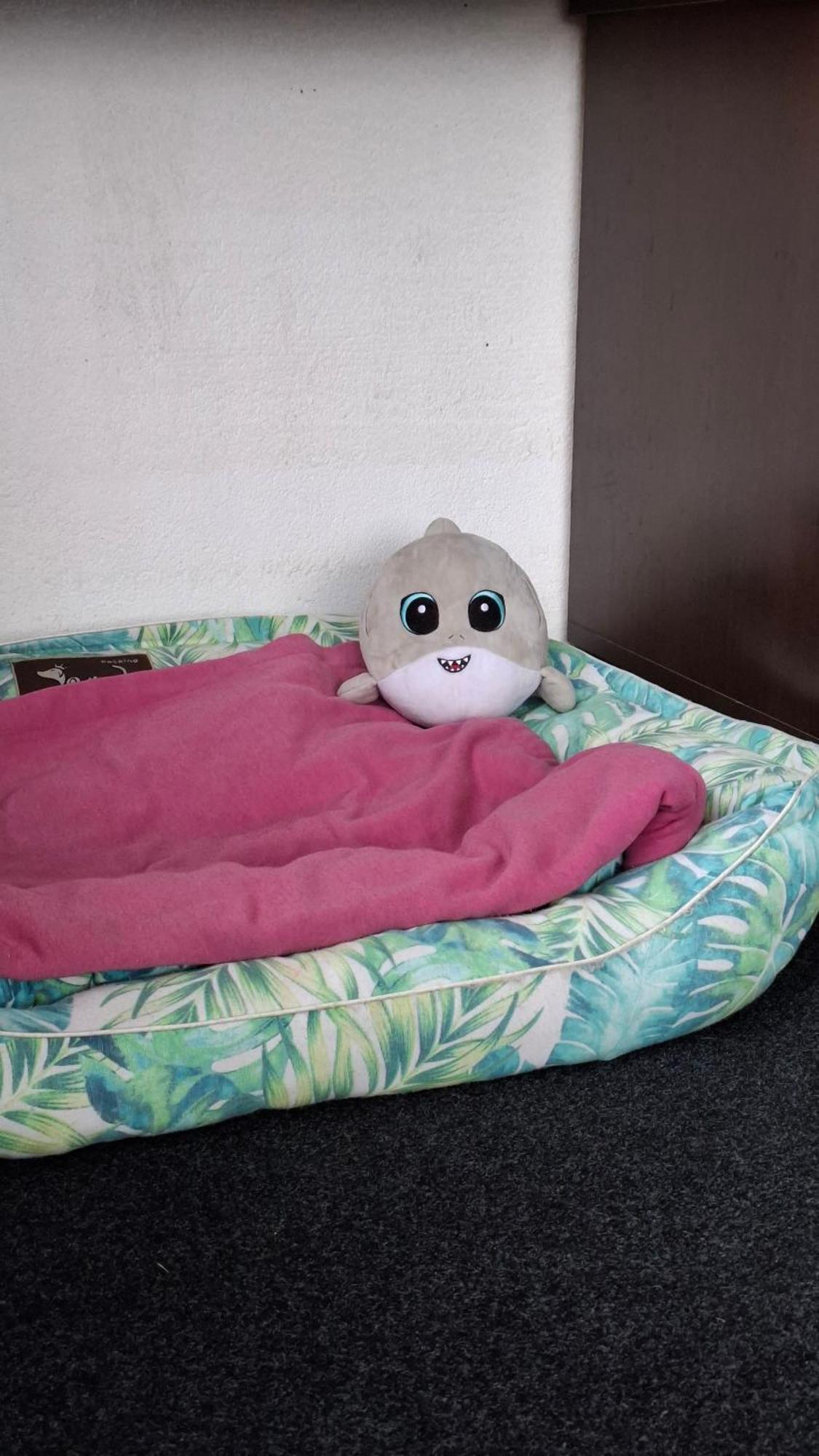 דירות ליסבון The Little Nest מראה חיצוני תמונה